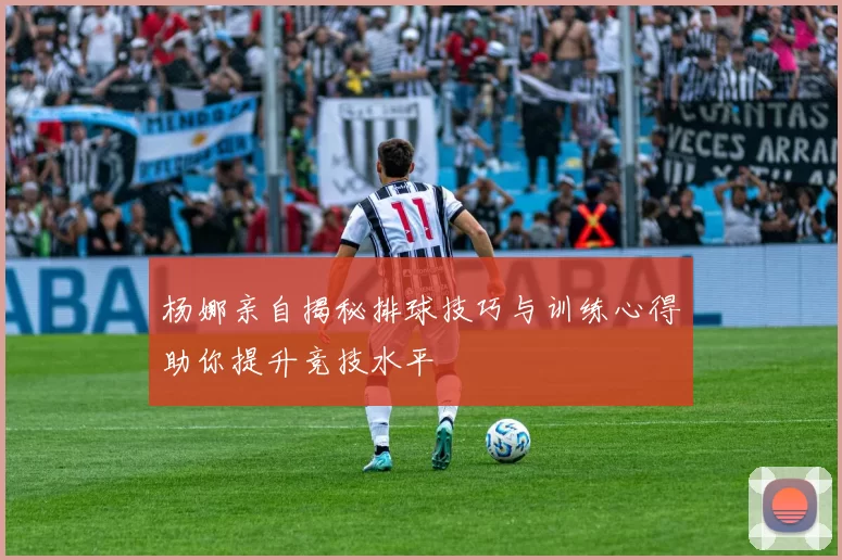 杨娜亲自揭秘排球技巧与训练心得助你提升竞技水平